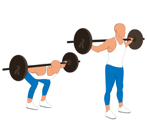 Fitness man doing barbell squats  Illustration
