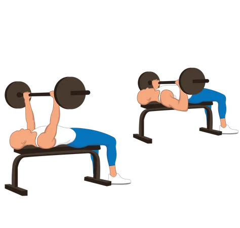 Fitness man doing chest barbell press  Illustration