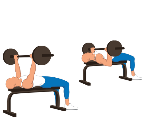 Fitness man doing chest barbell press  Illustration