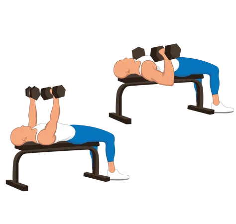 Fitness man doing chest dumbbell press  Illustration