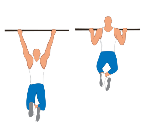 Fitness man doing Pull up bar excercise  Illustration