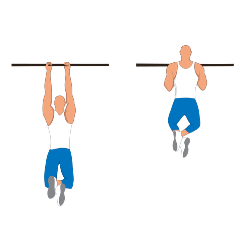 Fitness man doing pull ups  Illustration