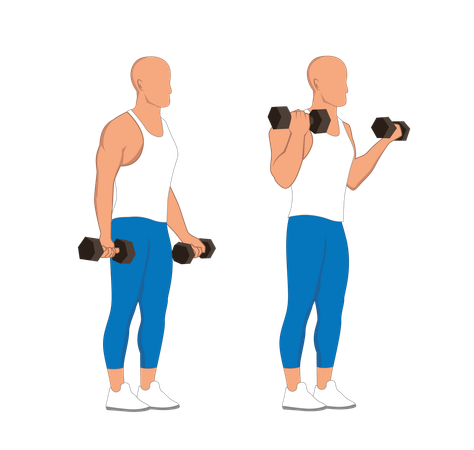 Fitness man doing single handed bicep dumbbell  イラスト