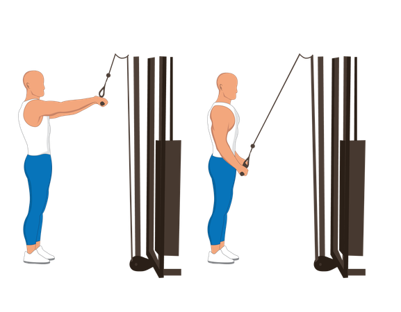 Fitness man doing tricep line pulley  Illustration