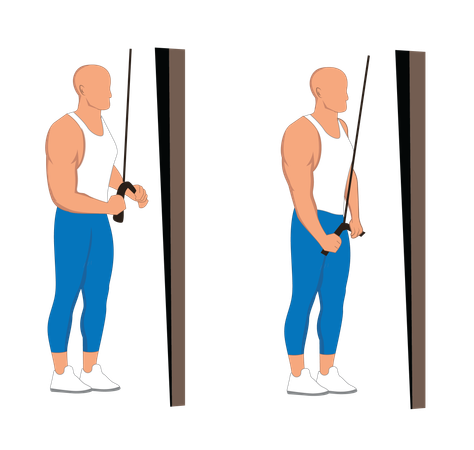 Fitness man doing tricep pulley  イラスト