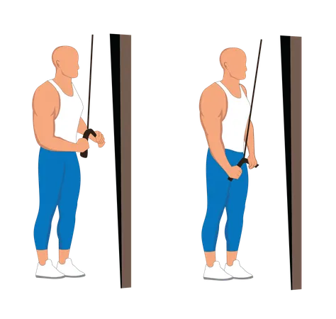 Fitness man doing tricep pulley  イラスト