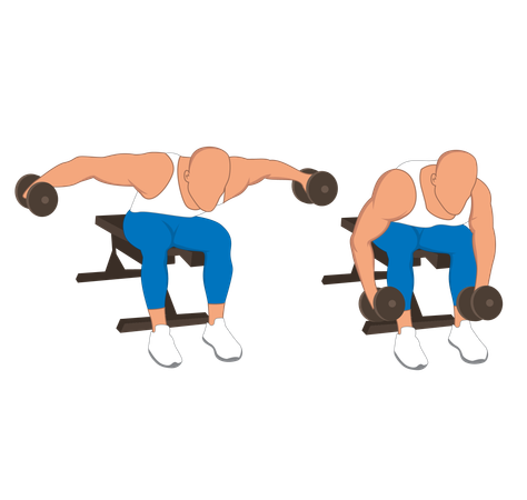 Homem fitness fazendo costas com mosca dupla com duas mãos  Ilustração