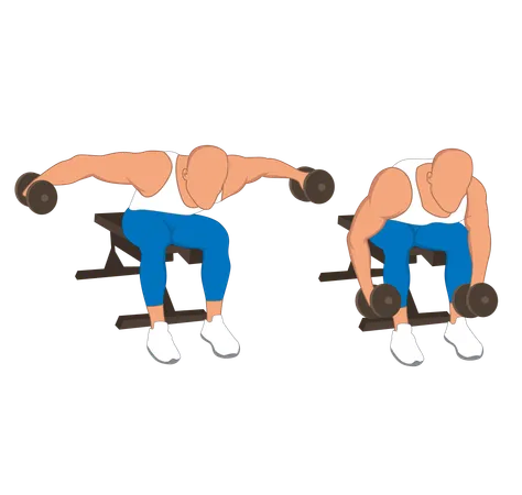 Homem fitness fazendo costas com mosca dupla com duas mãos  Ilustração