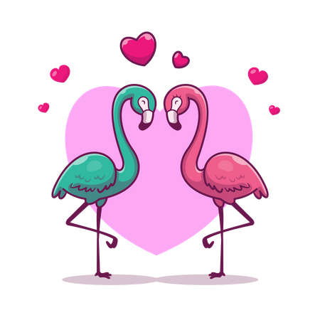 Flamants roses  Illustration