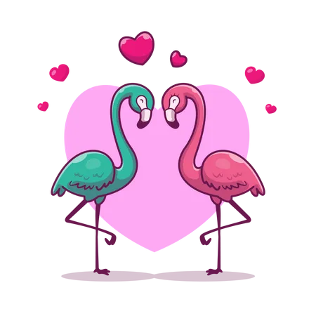 Flamants roses  Illustration