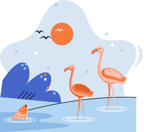 Flamants roses debout dans l'eau  Illustration