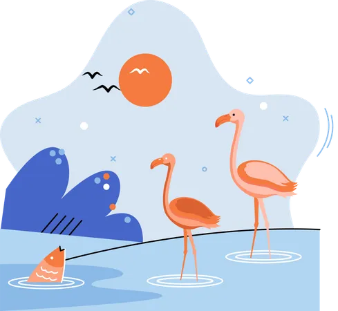 Flamants roses debout dans l'eau  Illustration