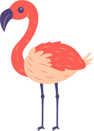 Flamingo fofo  Ilustração