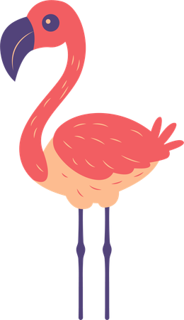 Flamingo fofo  Ilustração