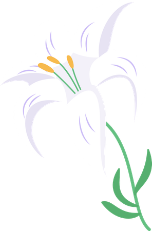 Fleur  Illustration