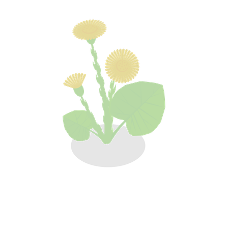 Plante à fleurs  Illustration