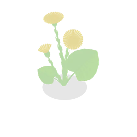 Plante à fleurs  Illustration