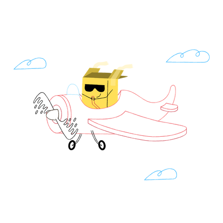 Flight Illustration
