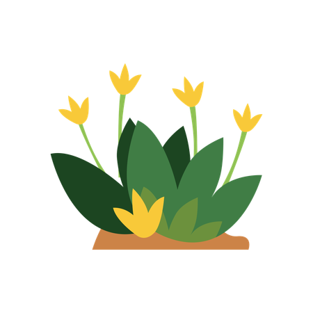 Flor  Ilustração