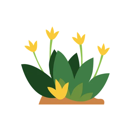 Flor  Ilustração