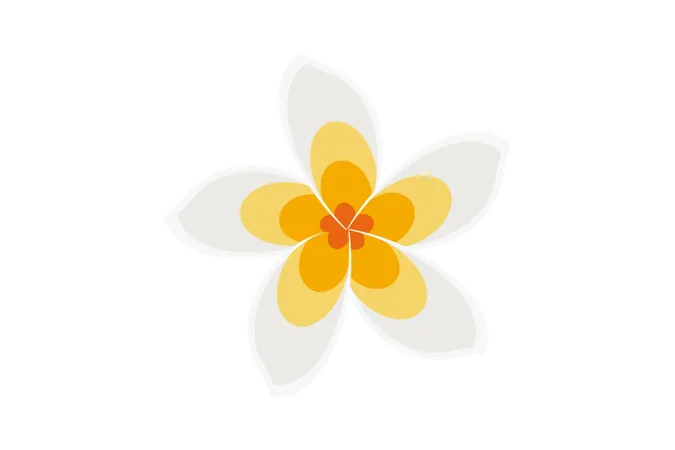 Flor branca cambojana  Ilustração