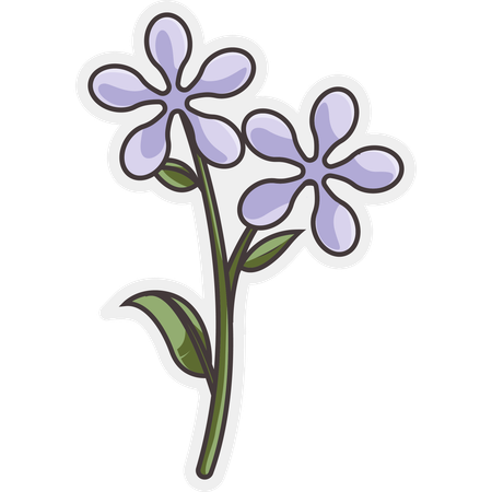 Flor de frangipani  Ilustração