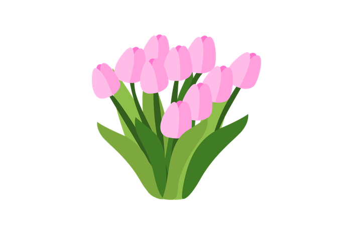 Flor de tulipa rosa  Ilustração