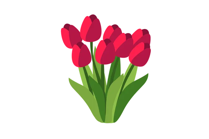 Flor de tulipa vermelha  Ilustração