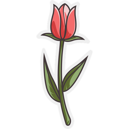 Flor de tulipán  Ilustración