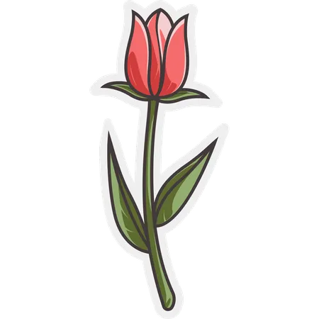 Flor de tulipán  Ilustración