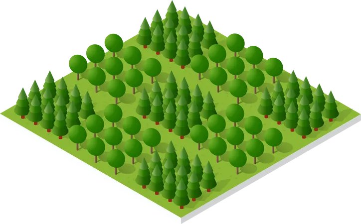 Floresta  Ilustração