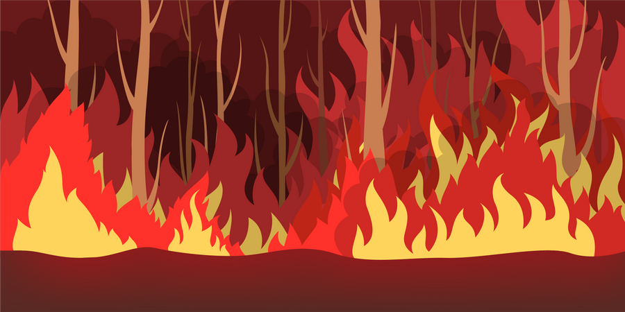 Incêndio florestal  Ilustração