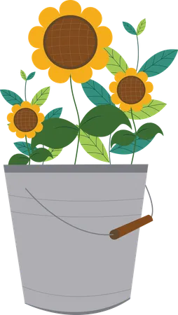 Flower basket  Illustration
