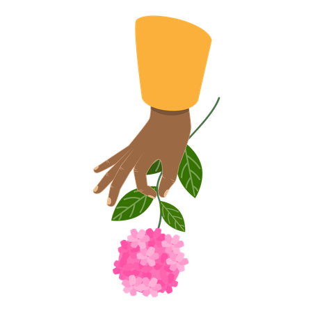 Flower  Illustration