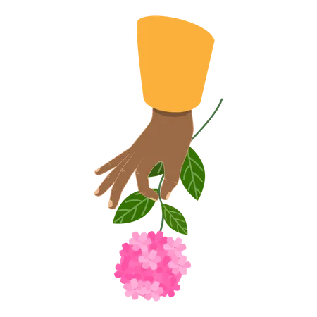 Flower  Illustration