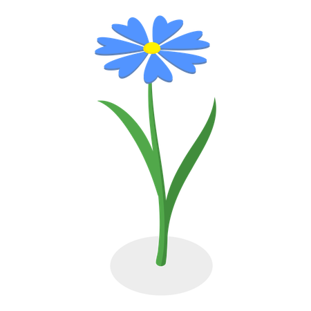 Flower  Illustration
