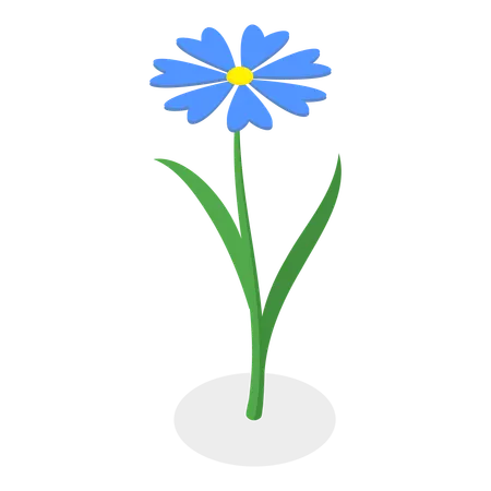 Flower  Illustration