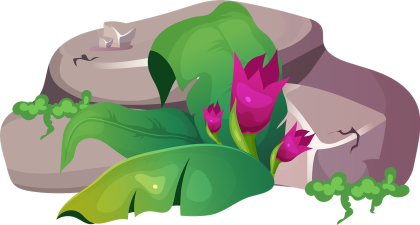 Flower in Jungle Illustration