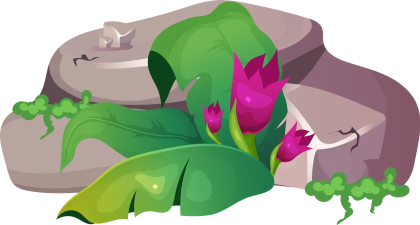Flower in Jungle Illustration