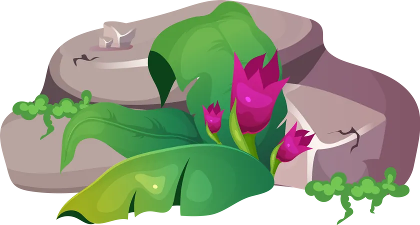 Flower in Jungle  Illustration