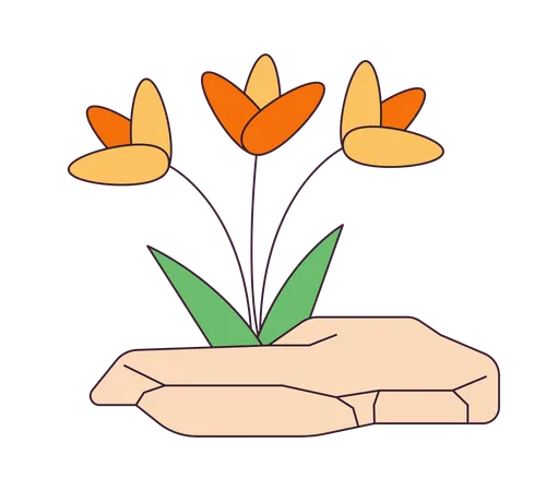 Flowers Growing Out Rock 2 D Linear Cartoon Object Blooming Plants Sprouting From Stone Isolated Line Vector Element White Background Wildflowers Break Through Crack Color Flat Spot Illustration Illustration