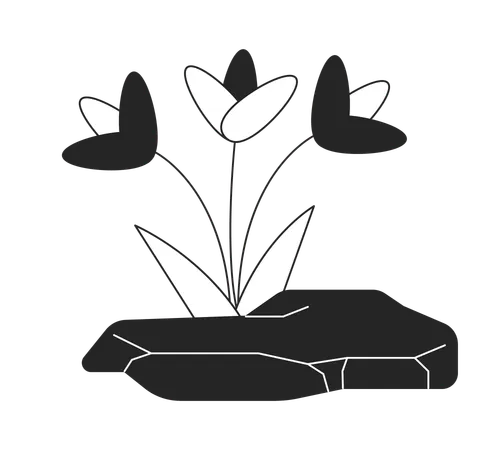 Flowers Growing Out Rock Black And White 2 D Line Cartoon Object Blooming Plants Sprouting From Stone Isolated Vector Outline Item Wildflowers Break Through Crack Monochromatic Flat Spot Illustration Illustration