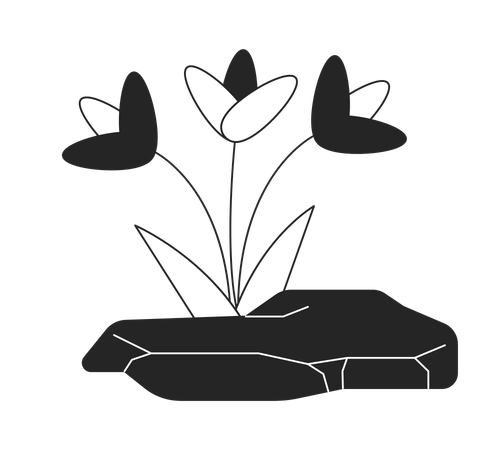 Flowers growing out rock  Illustration