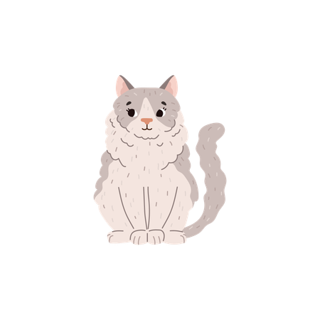 Fluffy ragdoll cat sitting  Illustration