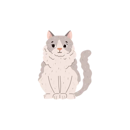 Fluffy Ragdoll Cat Sitting Cartoon Flat Vector Illustration Isolated On White Background Hand Drawn Animal Domestic Pet Drawing Concept Of Cat Breeds Illustration