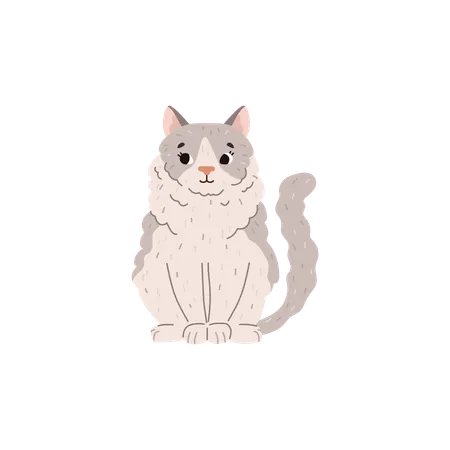 Fluffy ragdoll cat sitting  Illustration