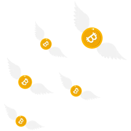 Flying bitcoin Loss of property or money business and finance  Illustration