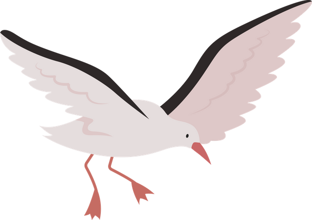 Flying seagull Illustration