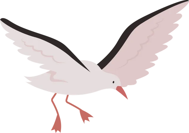 Flying seagull  Illustration