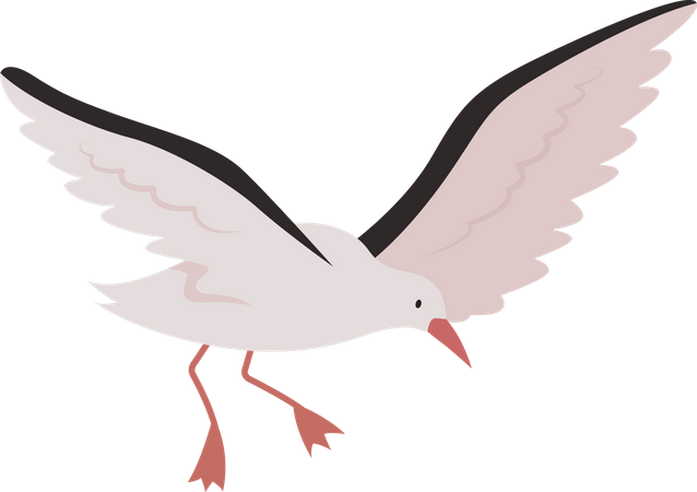 Flying seagull  Illustration